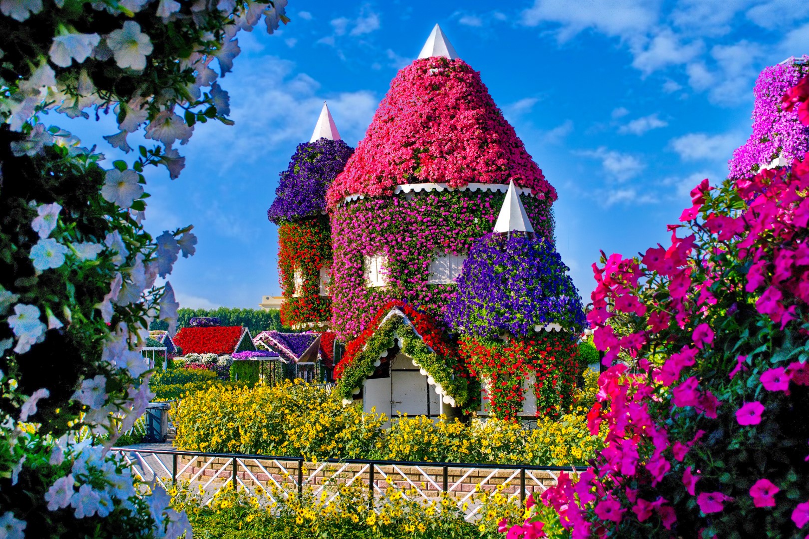 أكبر حديقة للزهور الطبيعية على مستوى العالم .. "دبي ميراكل جاردن" ترحب بزوارها ...