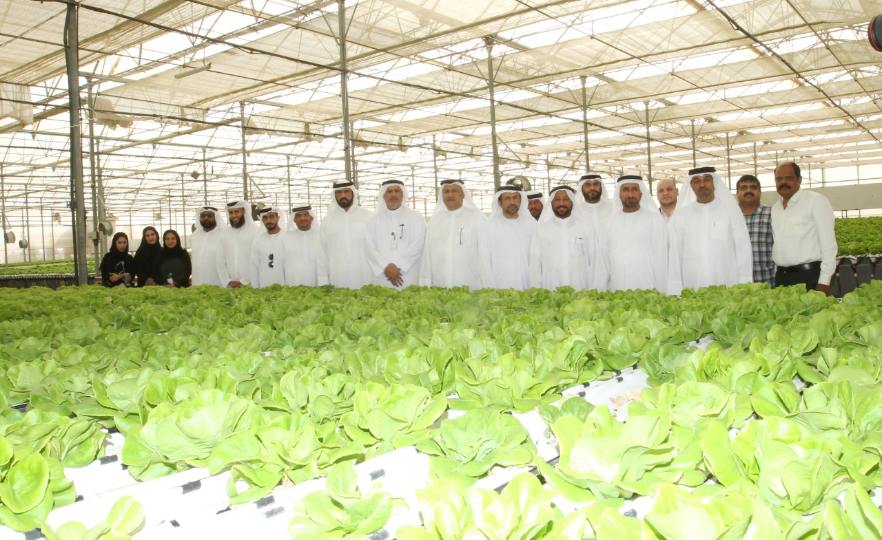 "غرفة الشارقة" تُنظم زيارة ميدانية لشركة "مزرعة ثمار الإمارات المائية"
