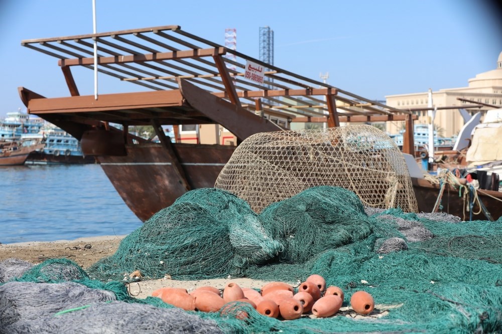 حظر صيد الكوفر والقابط في رأس الخيمة حتى 28 فبراير