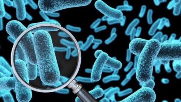 خبراء الصحة يحذرون: بكتيريا Strep A تسبب عددًا لا يحصى من الالتهابات بالجسم