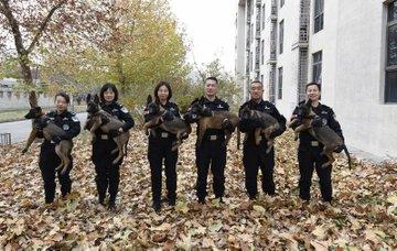 استنساخ 6 كلاب تتمتع بخاصية "الحس الأمني" في الصين