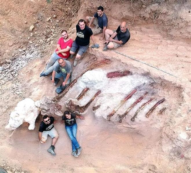 برتغالي يكتشف حفرية ديناصور في فناء المنزل 