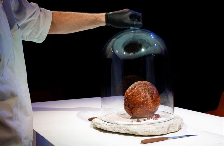 الكشف عن كرة ضخمة من لحم حيوان الماموث المنقرض في هولندا