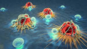 اكتشاف مثير حول "تبنّي" الخلايا السرطانية لتكتيك تستخدمه بعض الحيوانات للبقاء حية!