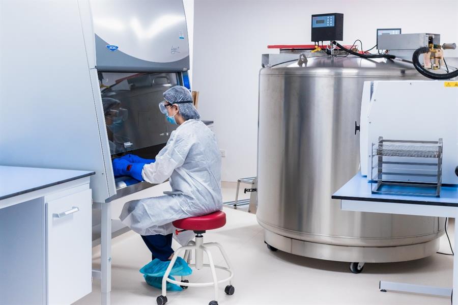 الإمارات تبدأ التجربة الأولى من نوعها لإنتاج العلاج بالخلايا المناعية محلياً بتقنية الـ 