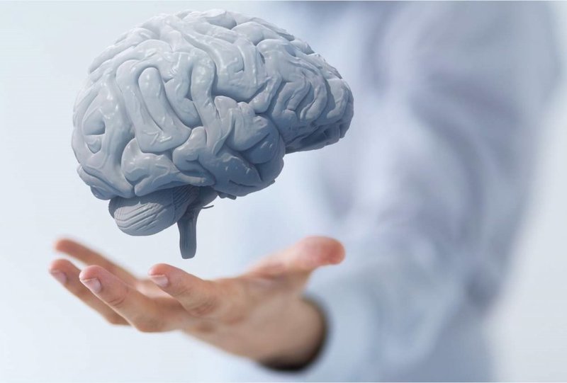 دراسة جديدة تحذر من "عامل هام" يمكن أن يمنع نمو الدماغ!
