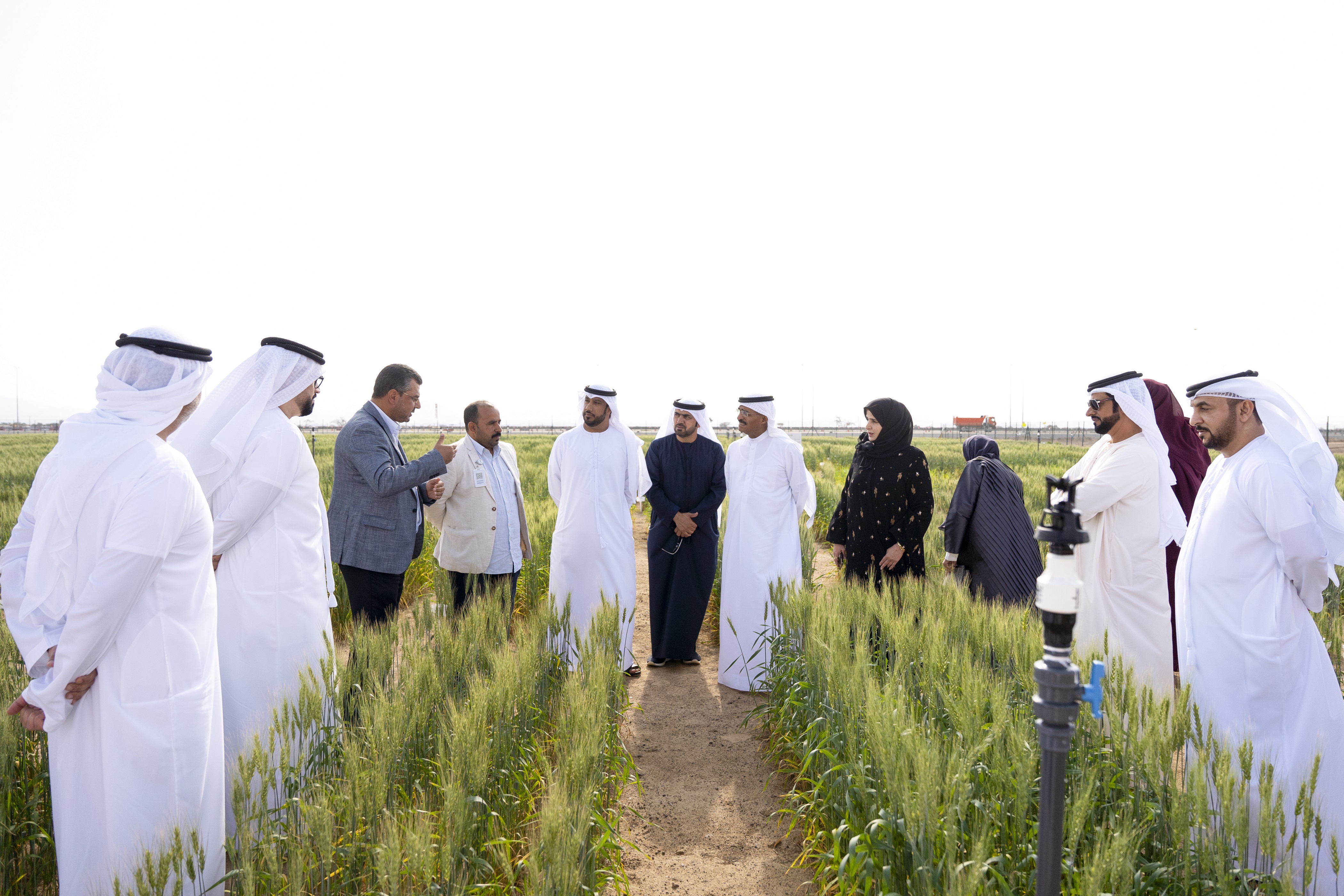 رئيس المجلس وأعضاء هيئة مكتب المجلس الاستشاري لإمارة الشارقة يزورون مزرعة القمح بمليحة