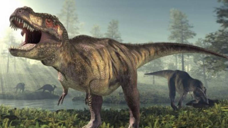 كيف اختفت الديناصورات من الأرض؟