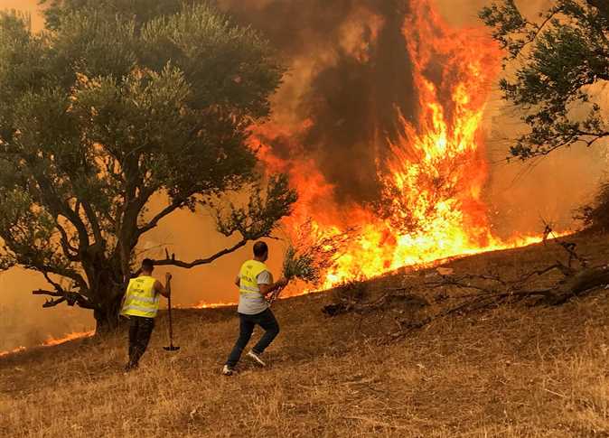 ارتفاع وفيات حرائق الغابات في الجزائر إلى 30 شخصاً