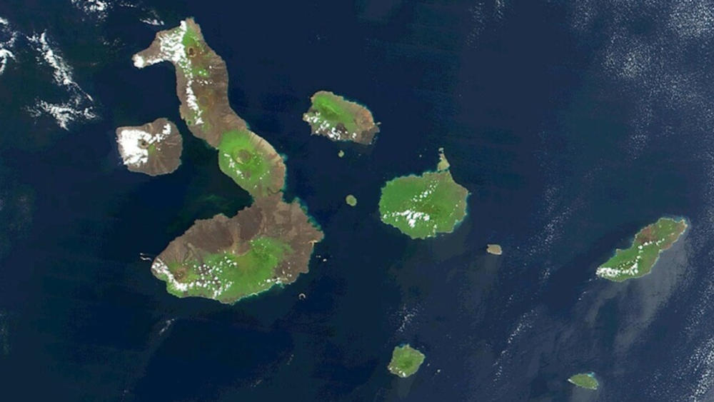 حل لغز النظام البيئي الاستثنائي لجزر جالاباجوس