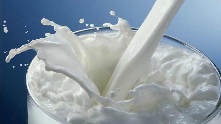 دراسة: استهلاك الحليب زاد من طول ووزن بعض البشر القدماء