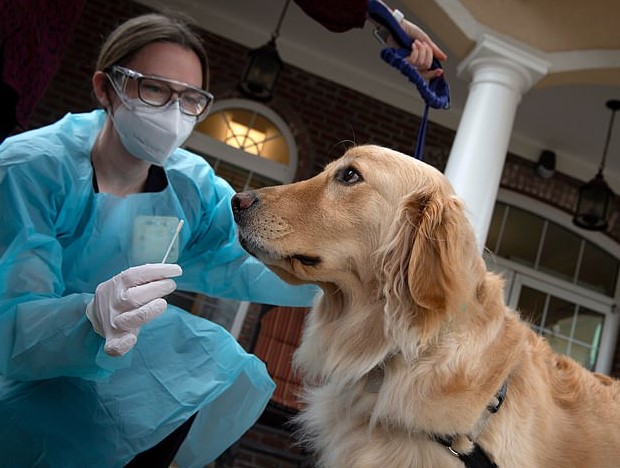 دار مسنين تستعين بكلاب مدُربة لاكتشاف فيروس كورونا في أمريكا