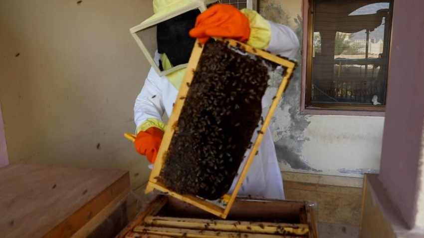 «أم سهيل» .. نحالة إماراتية تحترف إنتاج العسل والشمع والصابون