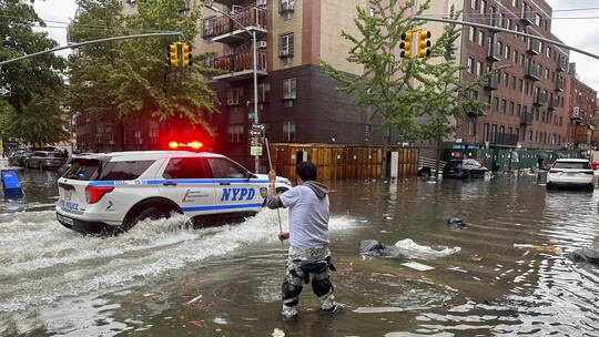 الفيضانات تحرر أسد بحر من أسره في نيويورك