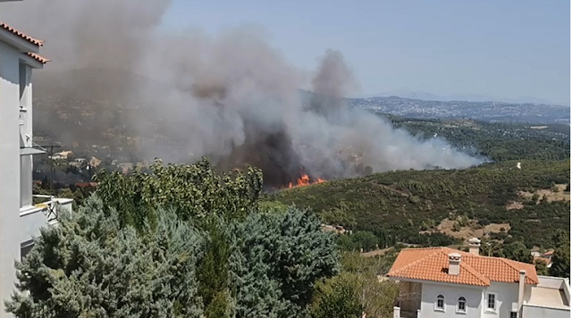 مربي نحل ستيني يتسبب في حريق غابات هائل في اليونان