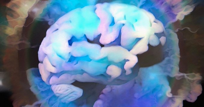 العلماء يكتشفون "مفتاح الوعي" في الدماغ لإخراج المرضى من الغيبوبة