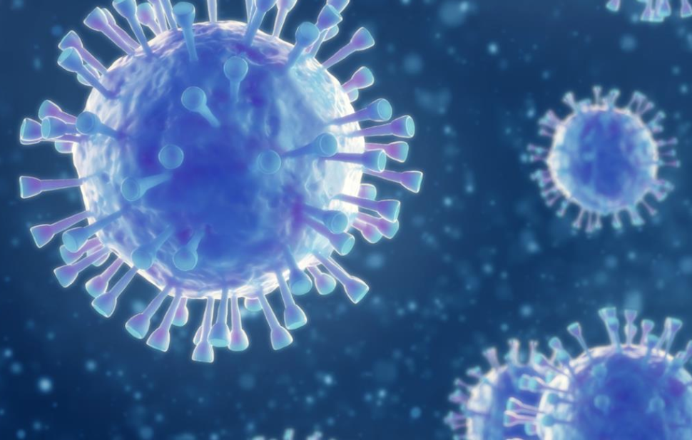 430 إصابة جديدة بفيروس كورونا خلال الساعات الـ 24 الماضية