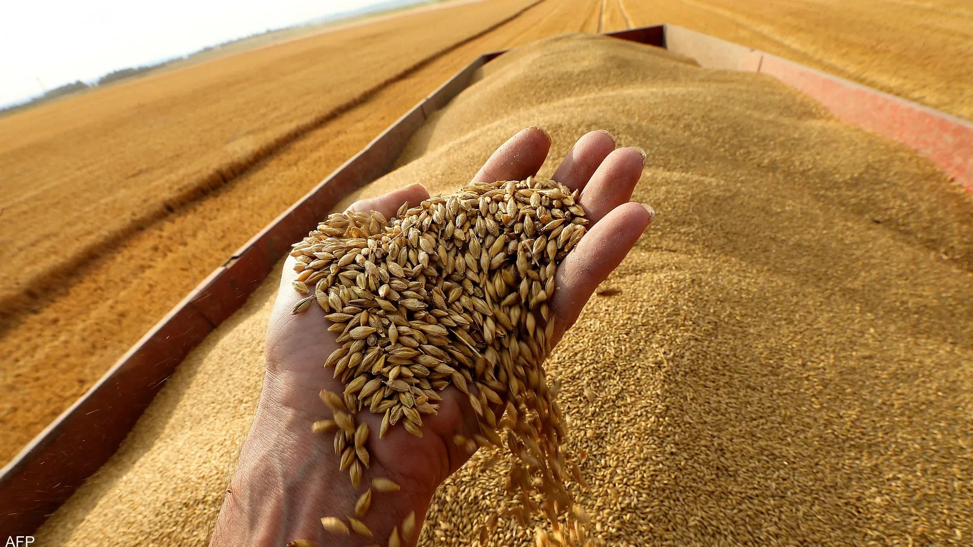 روسيا تهدف إلى تصدير خمسين مليون طن من الحبوب