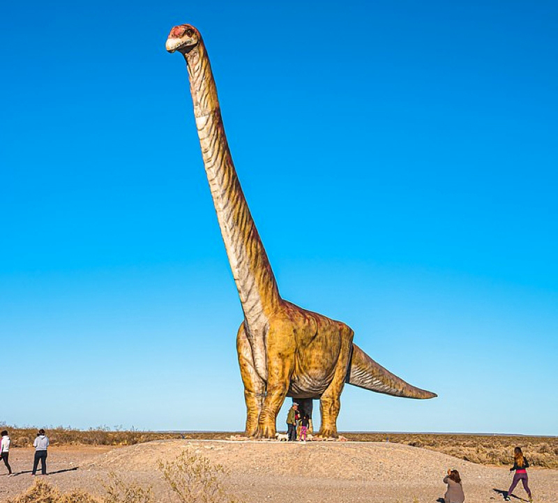 أحفورة في الأرجنتين تكشف عن أكبر حيوان بري جال الأرض