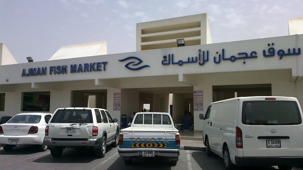 سوق الأسماك في عجمان.. استقرار الأسعار وإجراءات وقائية