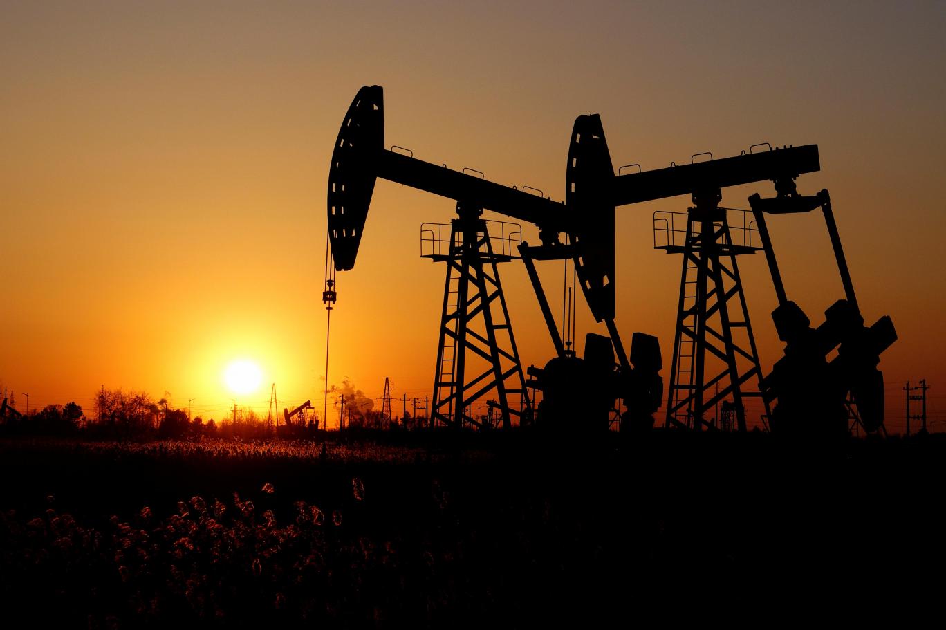 ارتفاع أسعار النفط متأثرة بلقاح فيروس كورونا