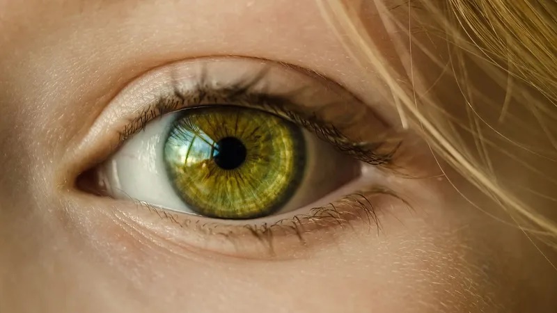 لمعالجة مهددين بالعمى.. تطوير "عيون مصغرة" في المختبر