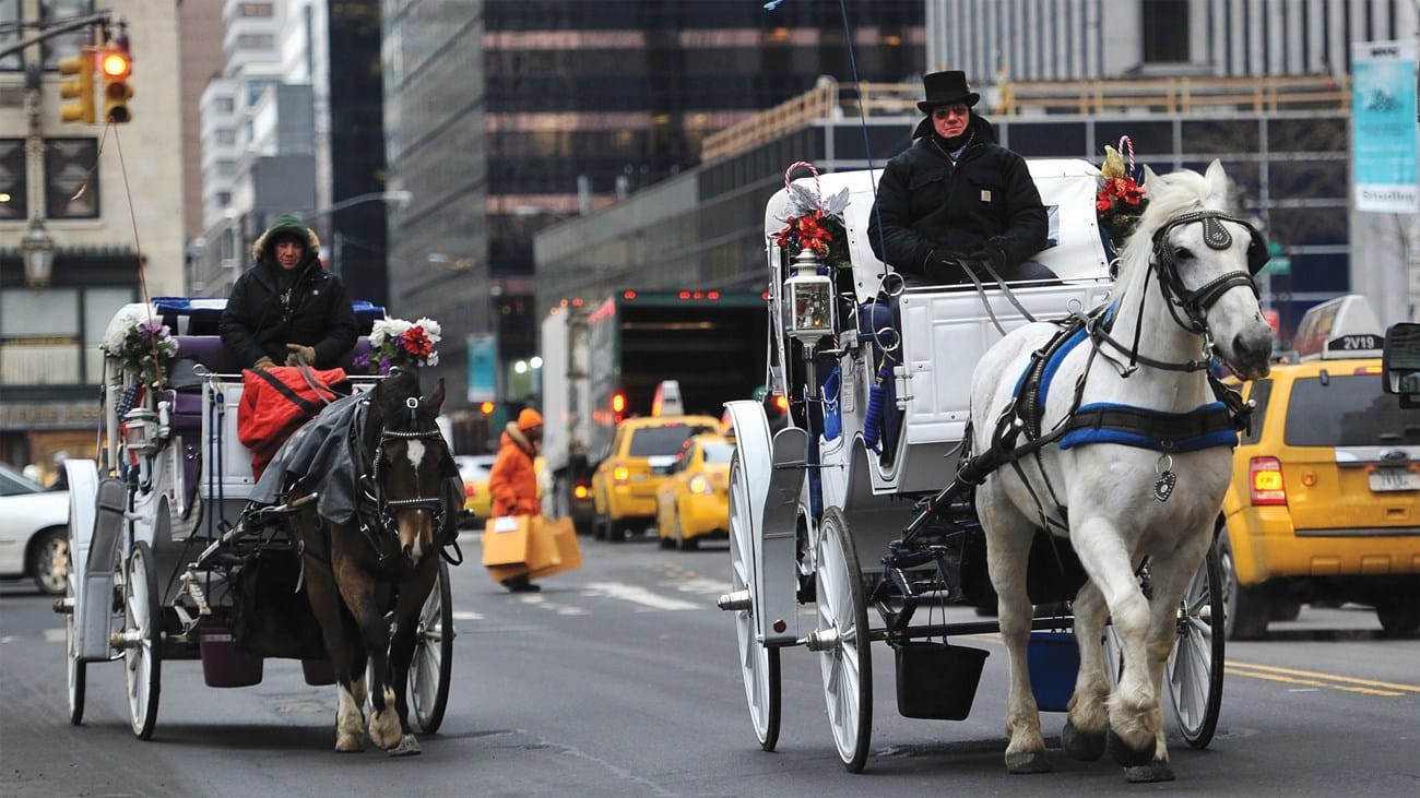 عربات الخيول تودع نيويورك قريباً